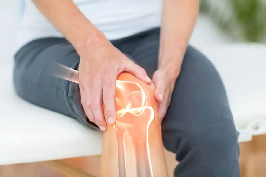 Knie Reha nach OP: Darstellung des Kniegelenks